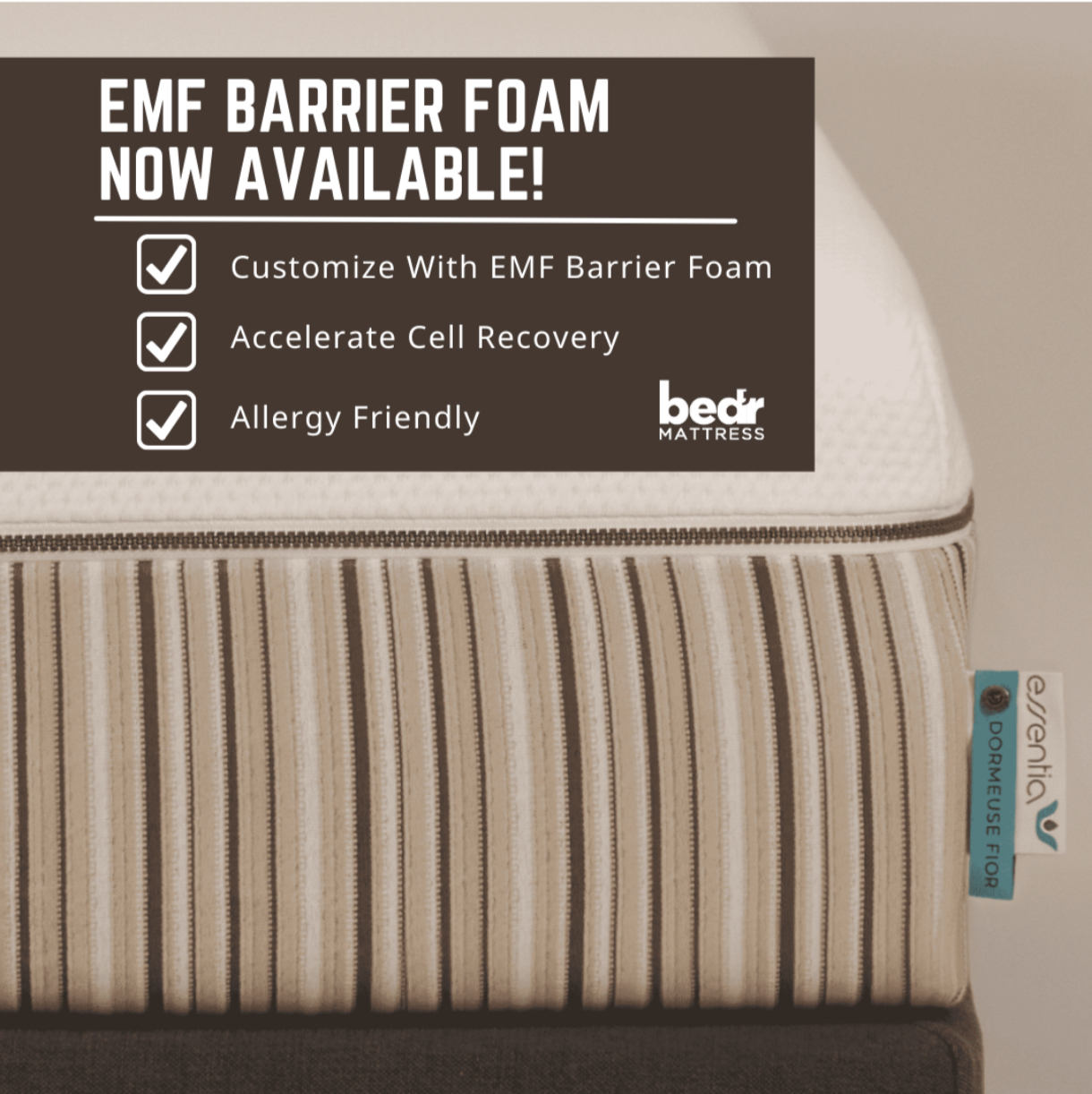 Knoxville Matress Store Knoxville Mattress Store Bed'r Mattress